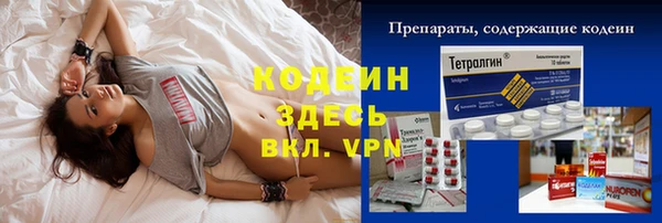 индика Куйбышев