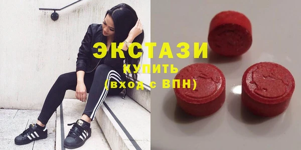 стаф Корсаков