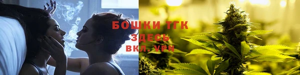 индика Куйбышев