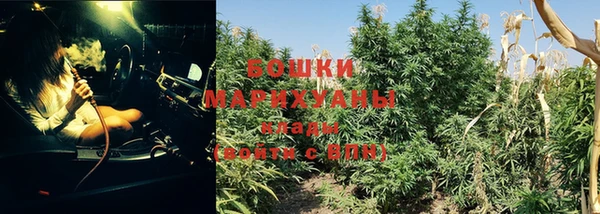 индика Куйбышев